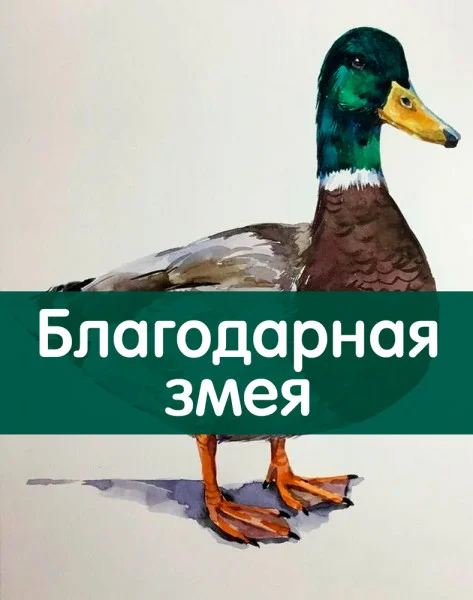 Благодарная змея