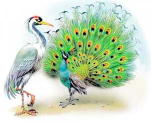 Журавль и павлин