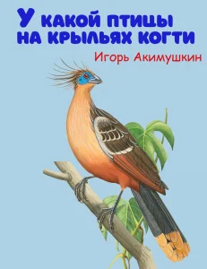 У какой птицы на крыльях когти
