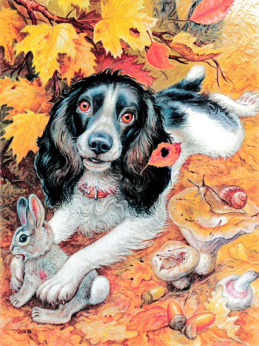 Собака поймала зайца