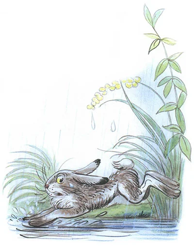 Сказка под грибом, фото 8