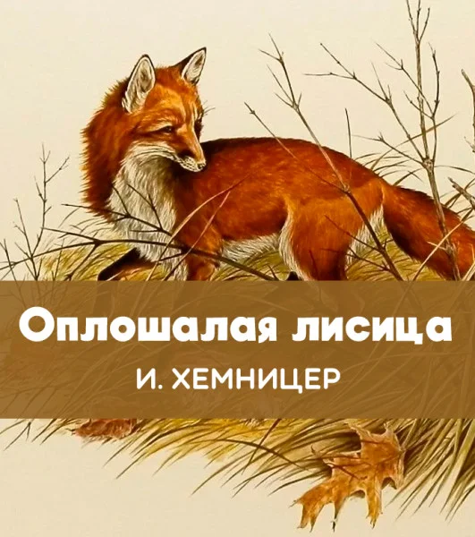 Оплошалая лисица