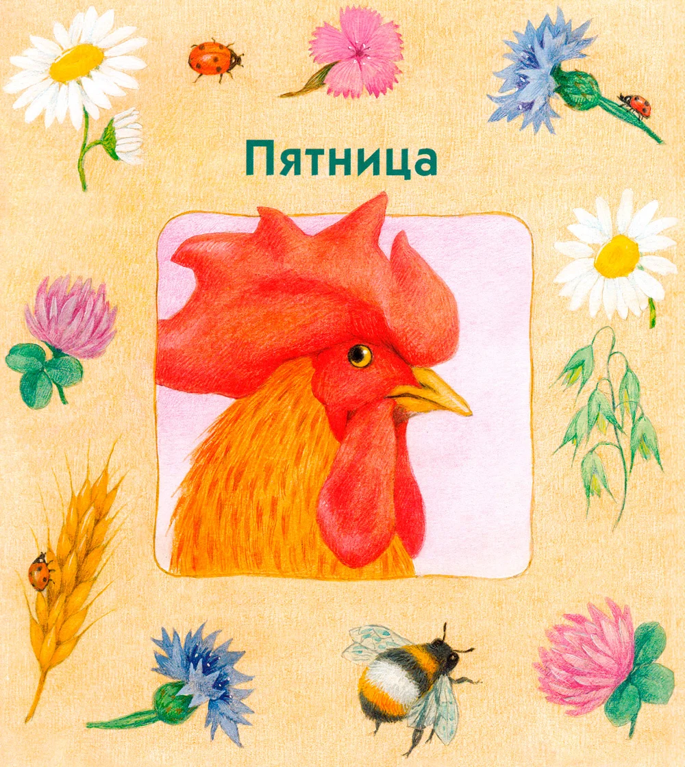 Красивый петушок