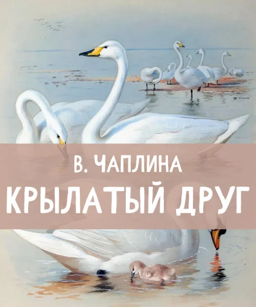 Крылатый друг