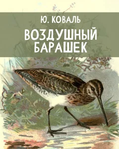 Воздушный барашек
