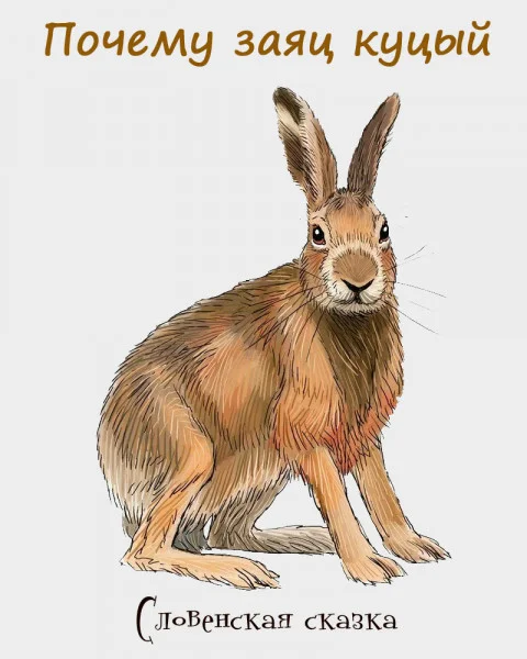 Почему заяц куцый