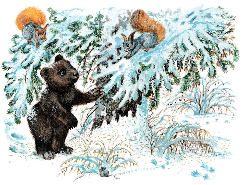 Медведь и белка