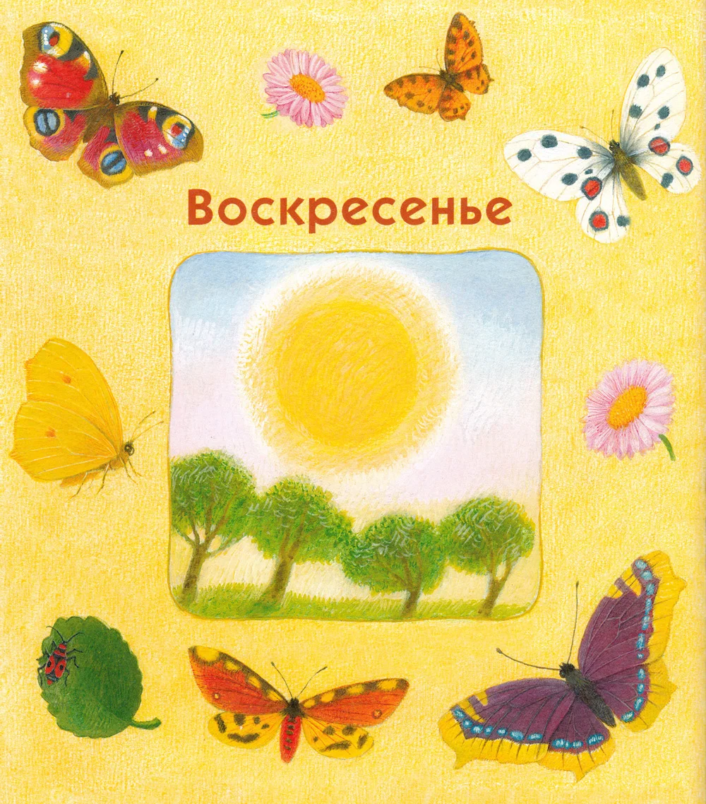 Бабочки