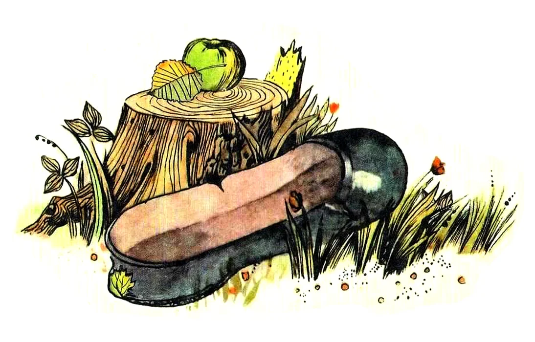 Галоша у пня