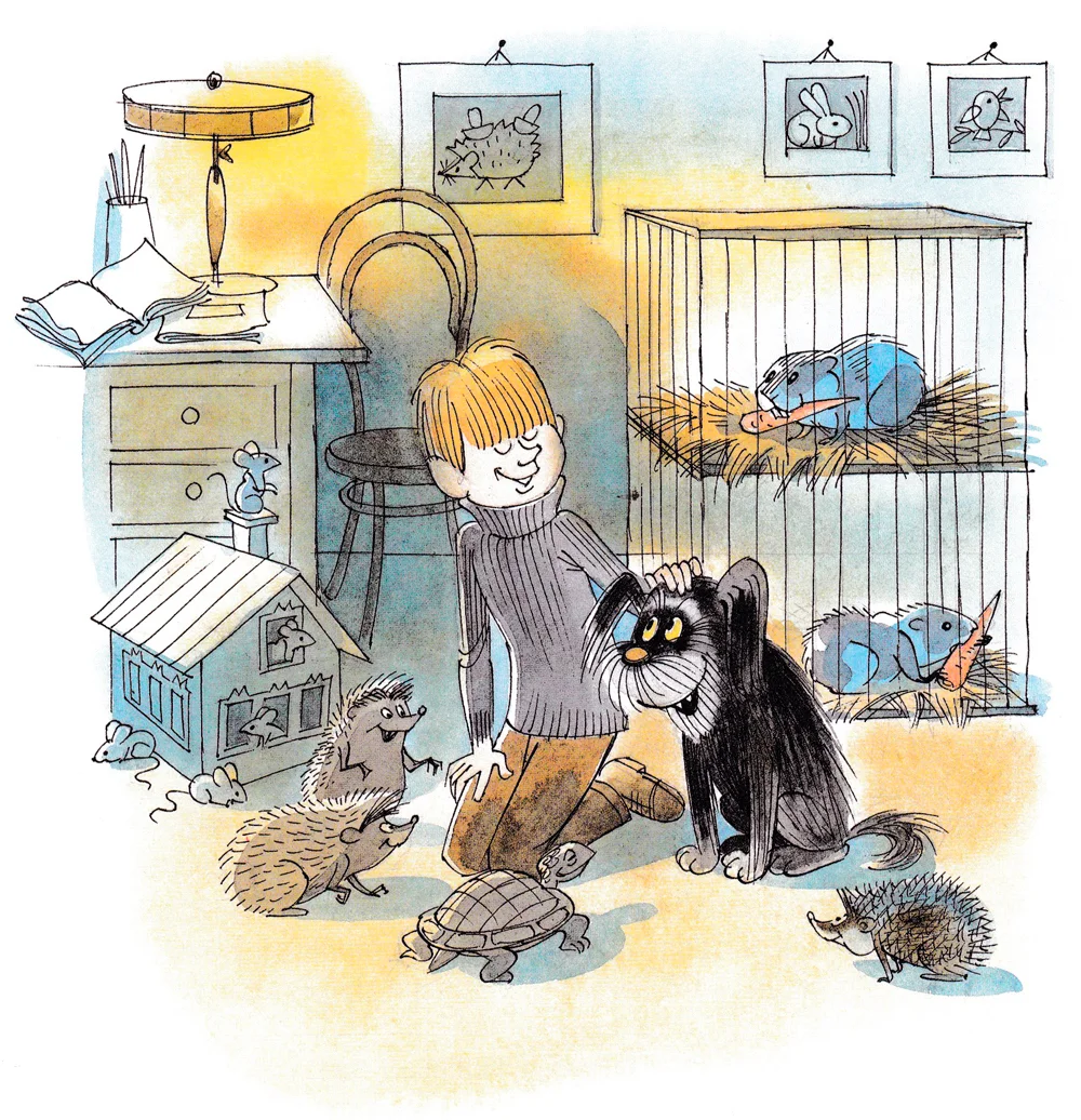 Мальчик и животные