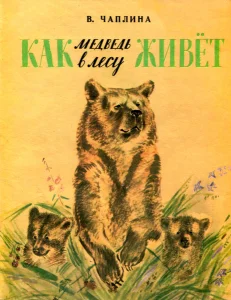 Как медведь в лесу живет
