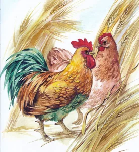 Куриный разговор