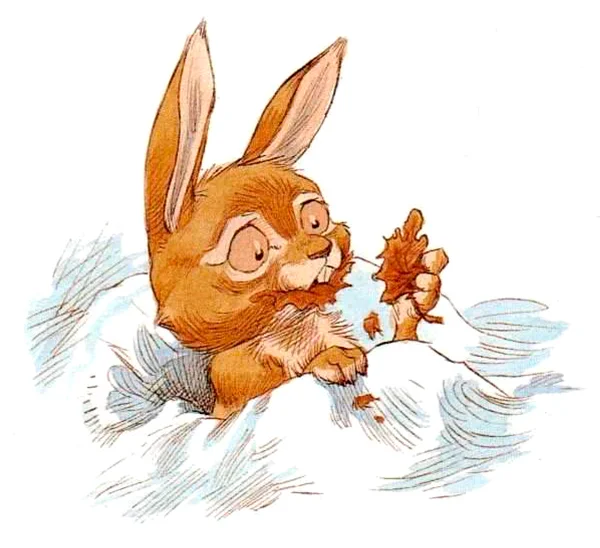 Кролик жует листья