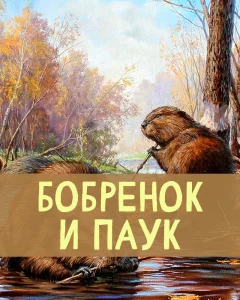 Бобренок и Паук