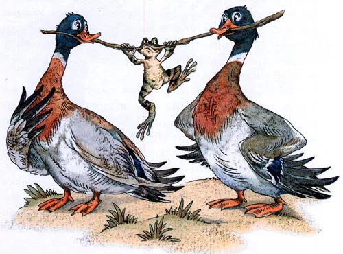 Лягушка-путешественница - картинка 5