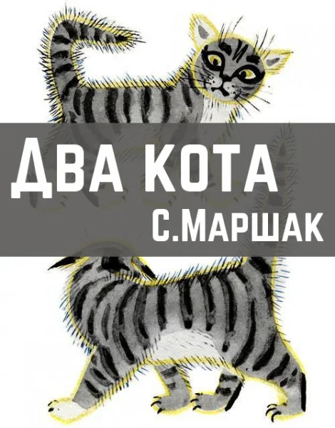Два кота