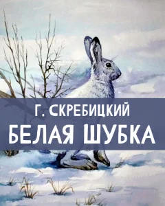 Белая шубка
