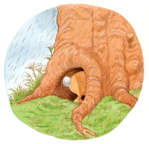 Кролик лезет в нокру