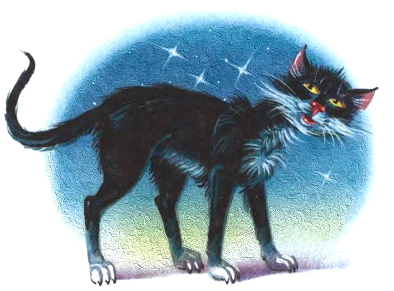 Черная кошка