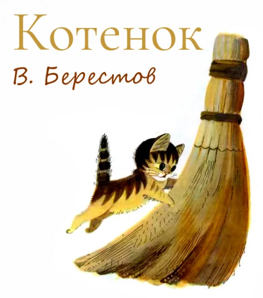 Котёнок