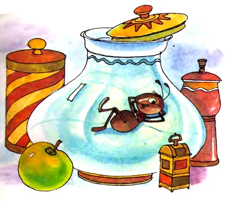 Муравей объелся сахара