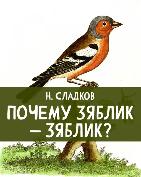Почему зяблик – зяблик?