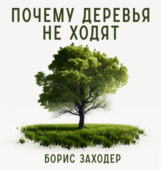 Почему деревья не ходят