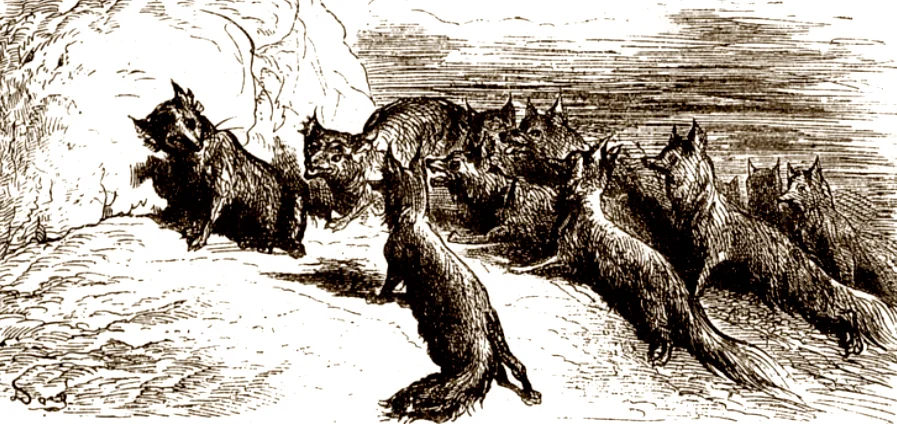 Лисы