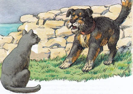 Кошка и собака