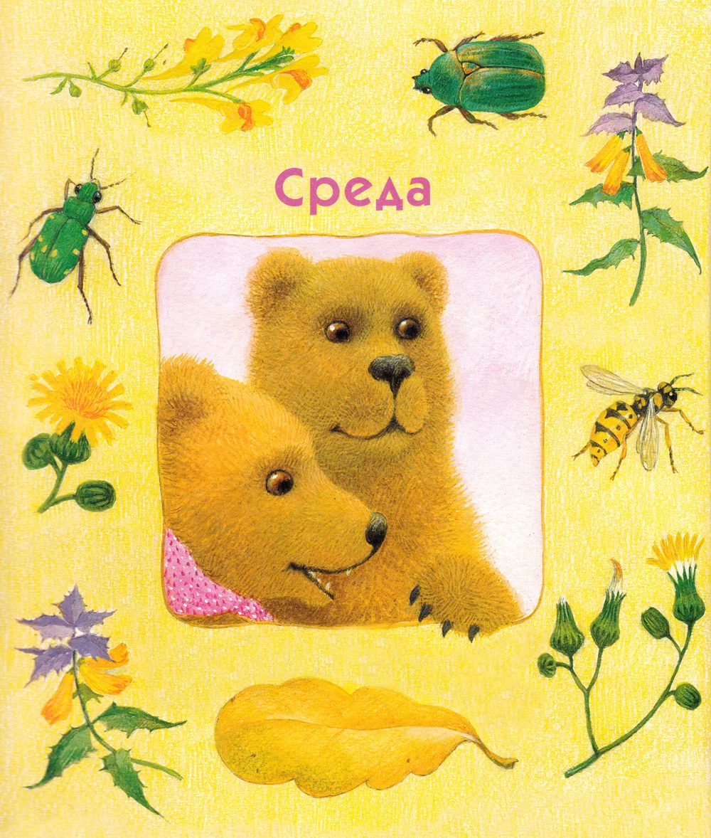 Два милый мишки