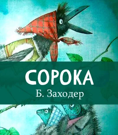 Сорока
