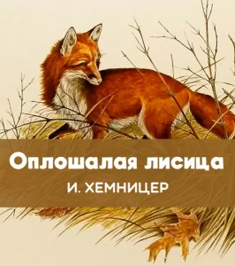 Оплошалая лисица