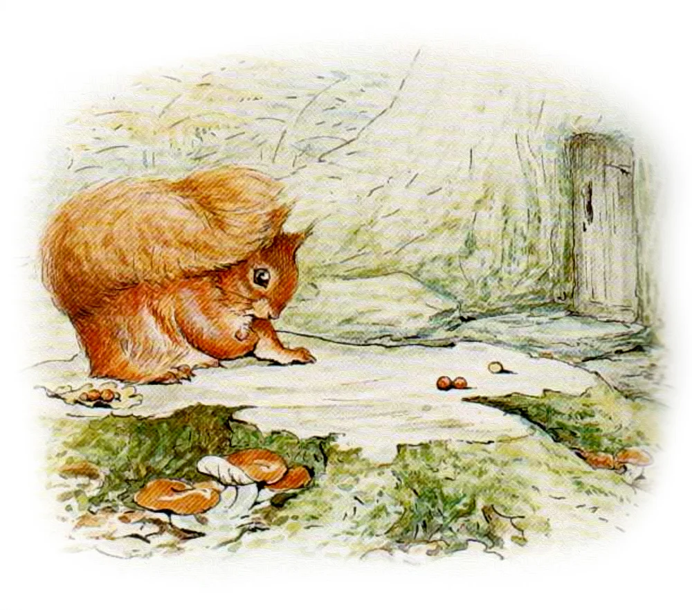 Бельчонок играется