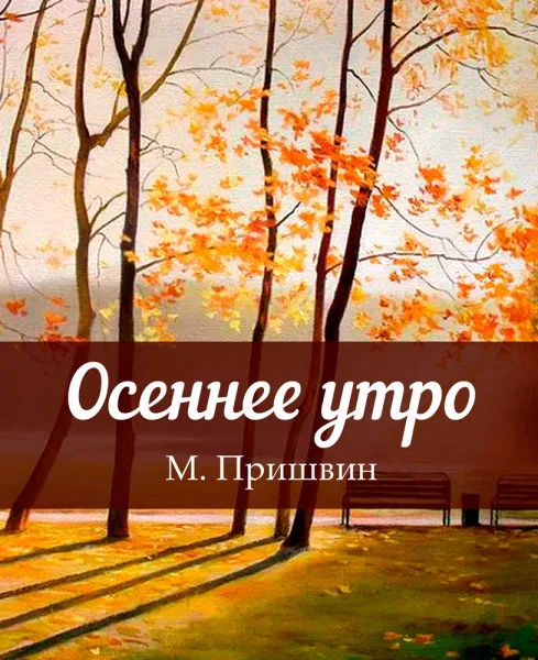 Осеннее утро