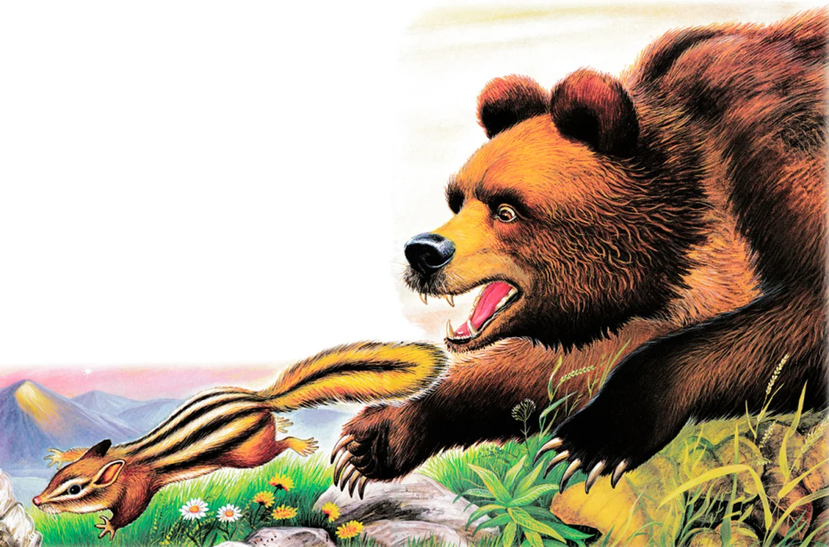 Медведь ловит бурундука