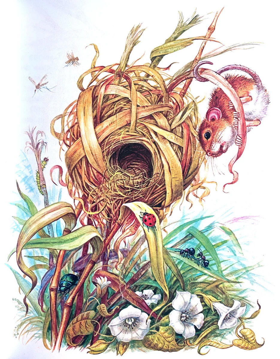 Мышонок пик построил себе дом