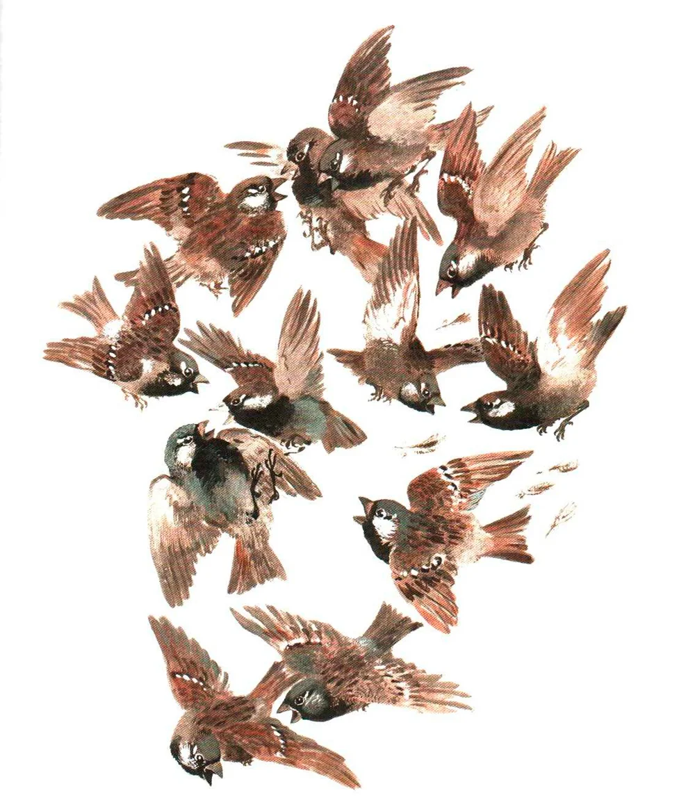 Куча воробьев