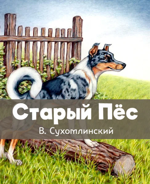 Старый Пёс