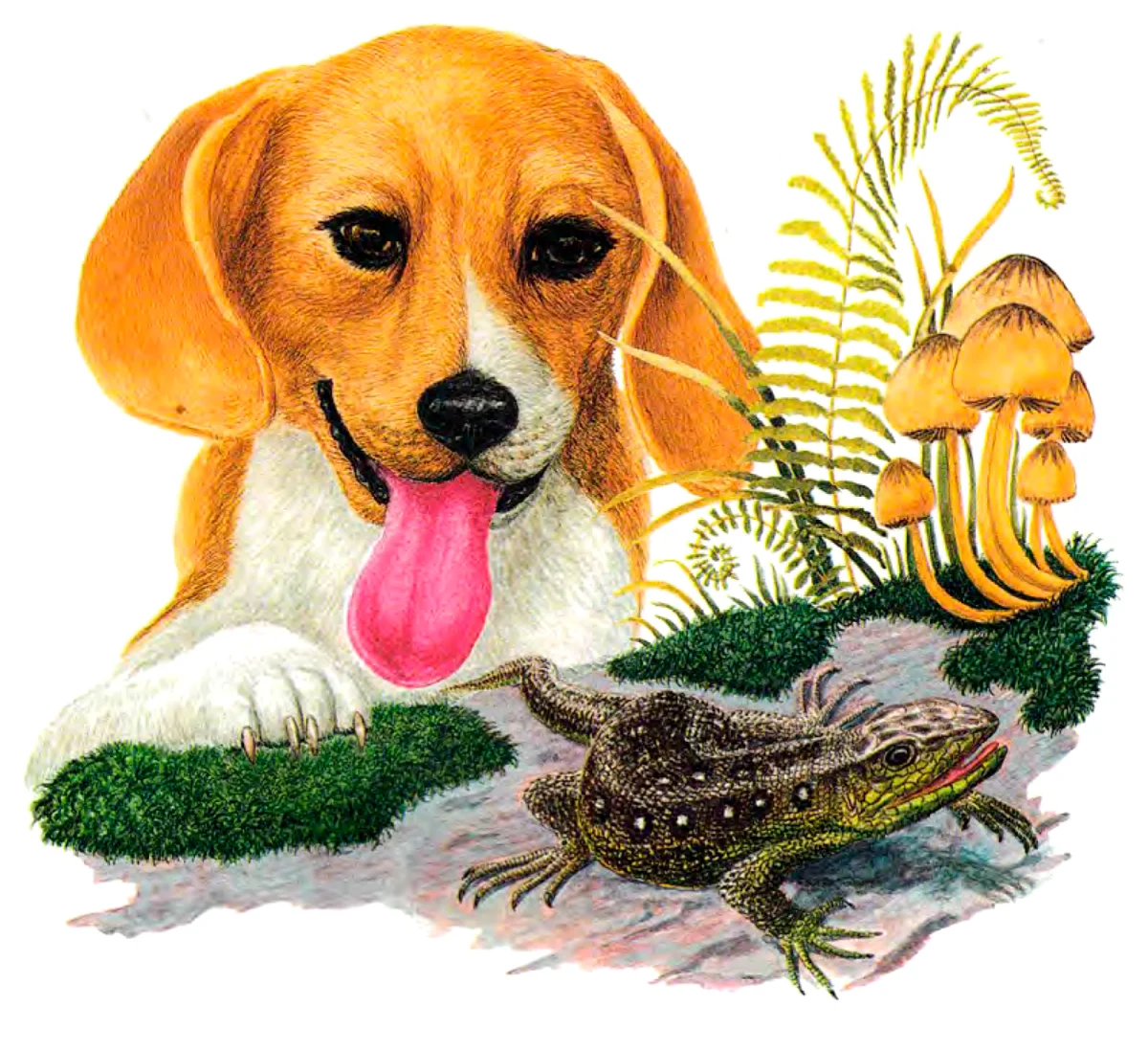 Ящерка и пёсик