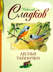 Лесные тайнички