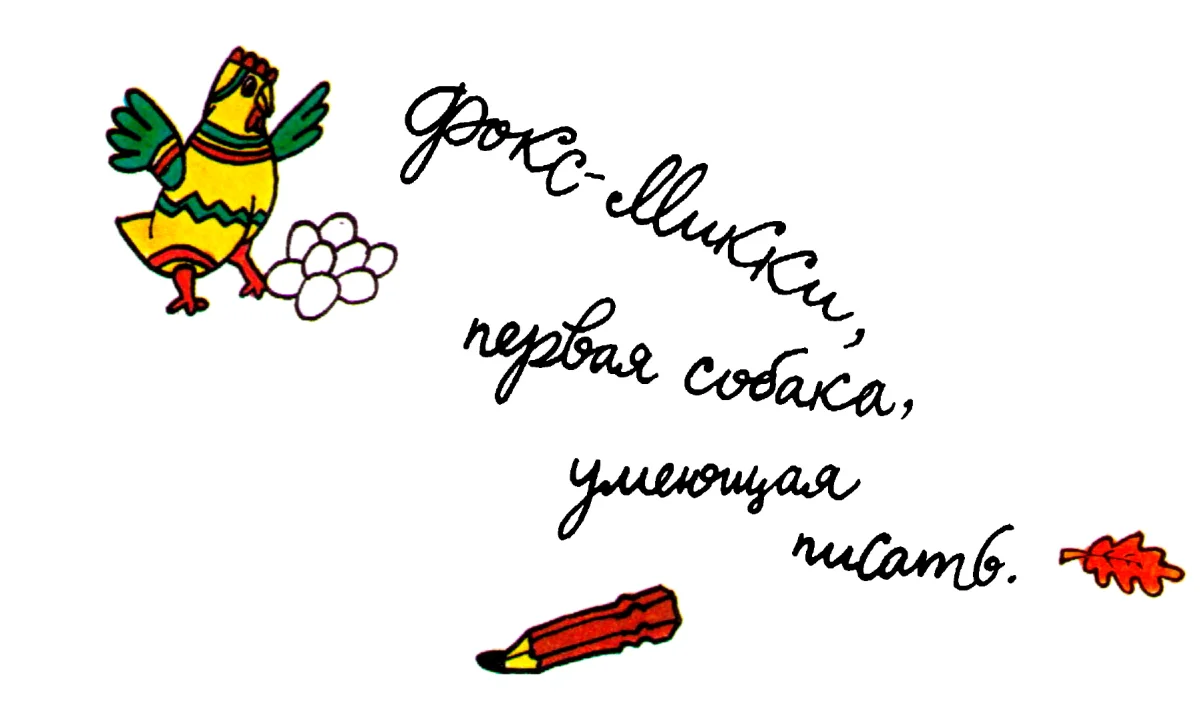 Фокс Микки, первая собака, умеющая писать