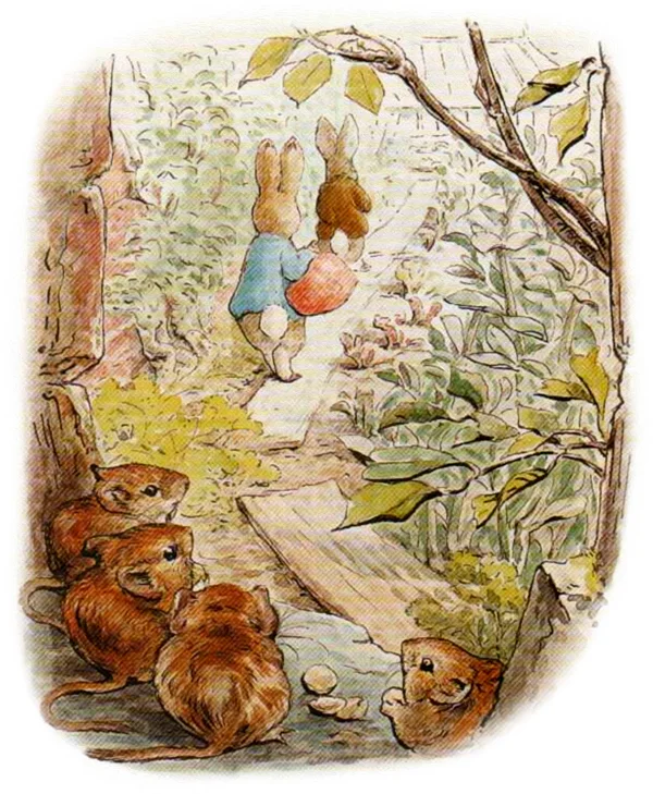 Кролик идут по тропинке