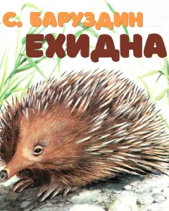 Ехидна