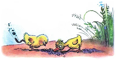 Цыпленок и утенок, фото 4