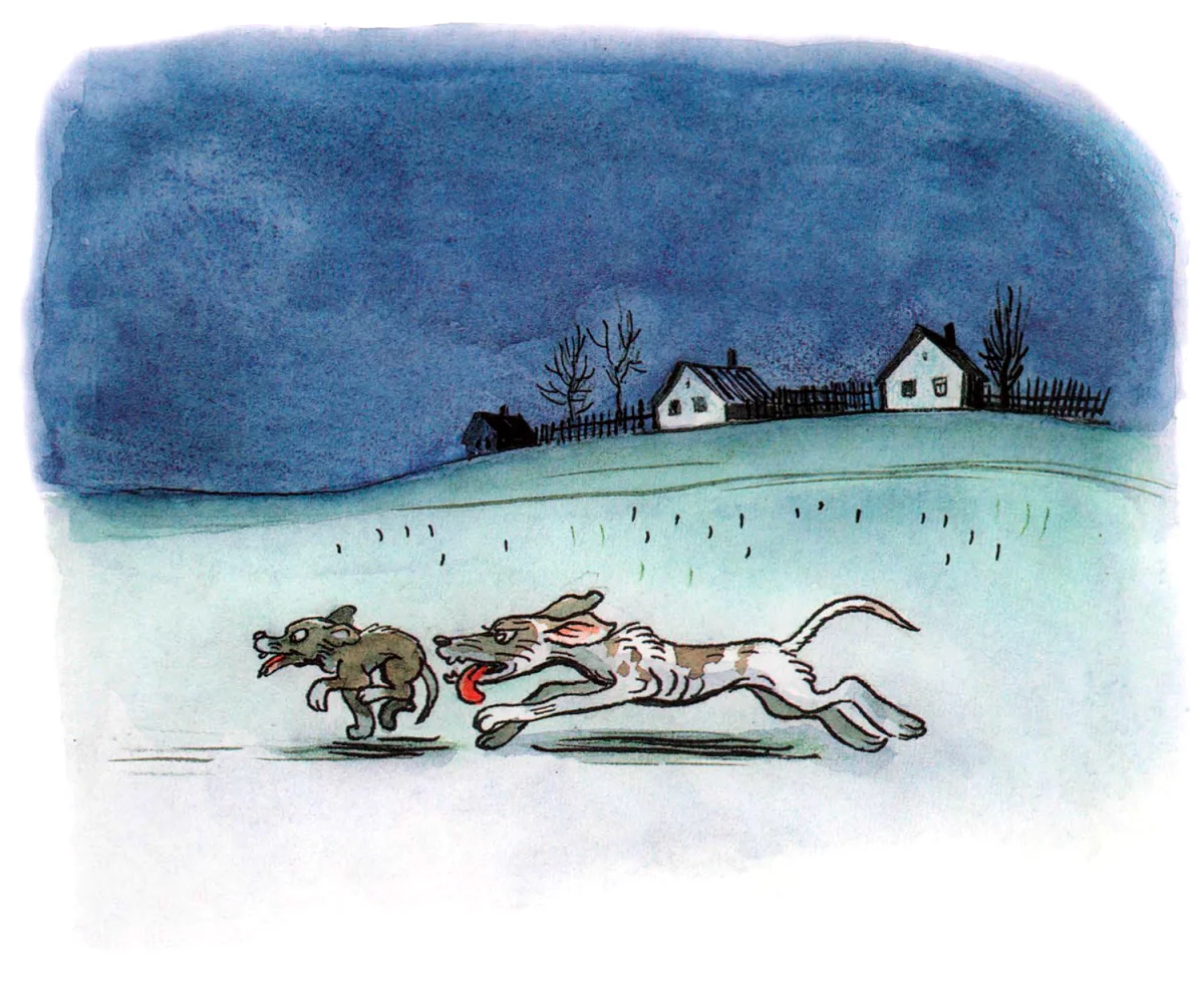 Собаки бегут