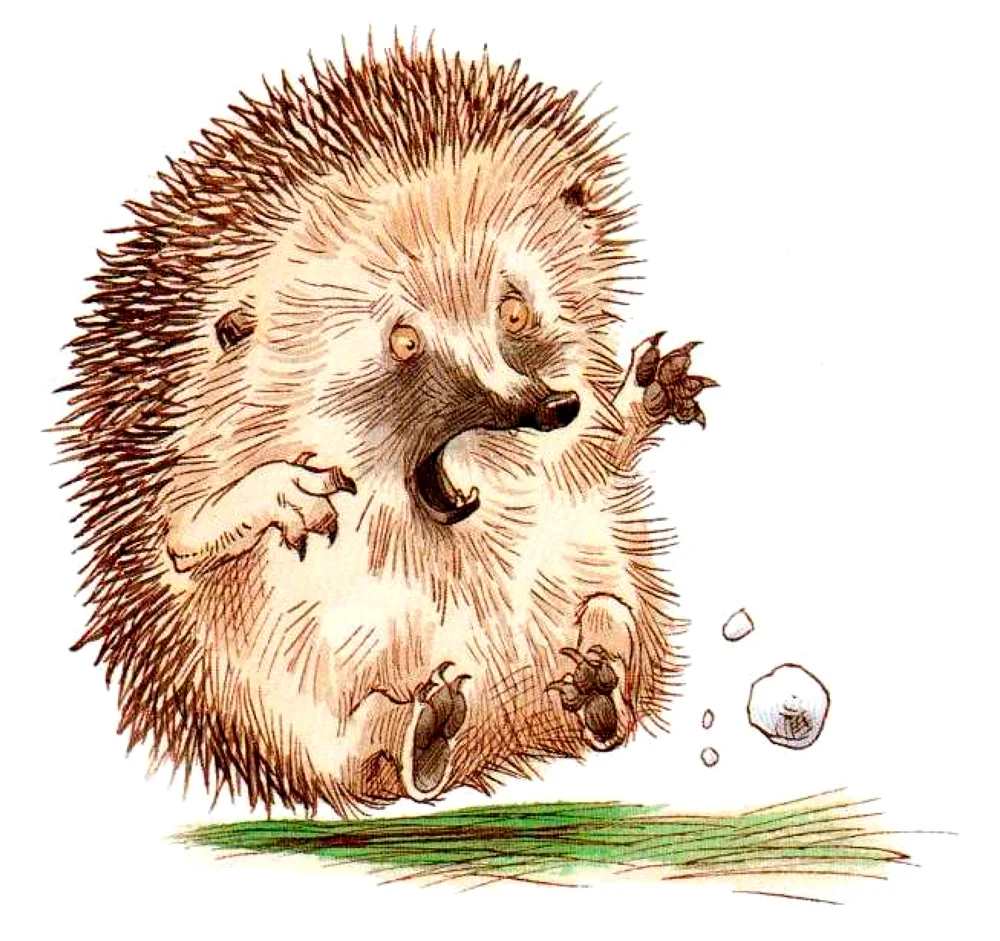 Ежик испугался