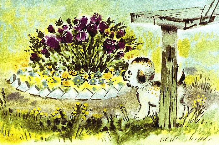 Клумба цветов
