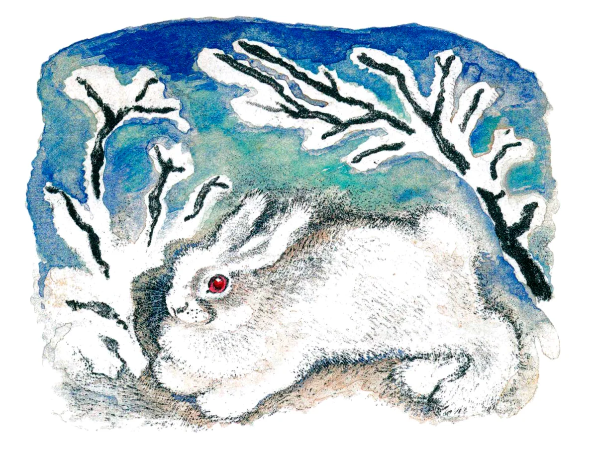 Белый кролик