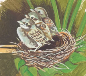 Умная птичка