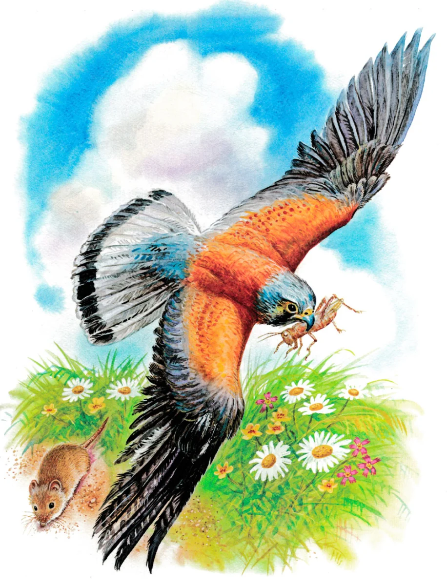 Птица схватила кузнечика